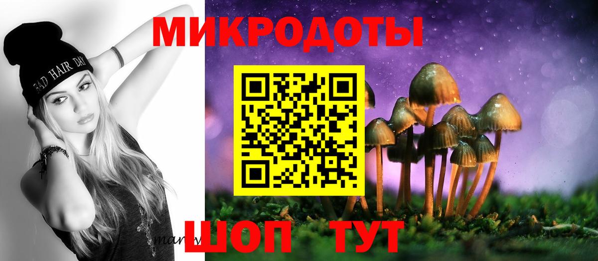 Псилоцибиновые грибы Psilocybe Новозыбков